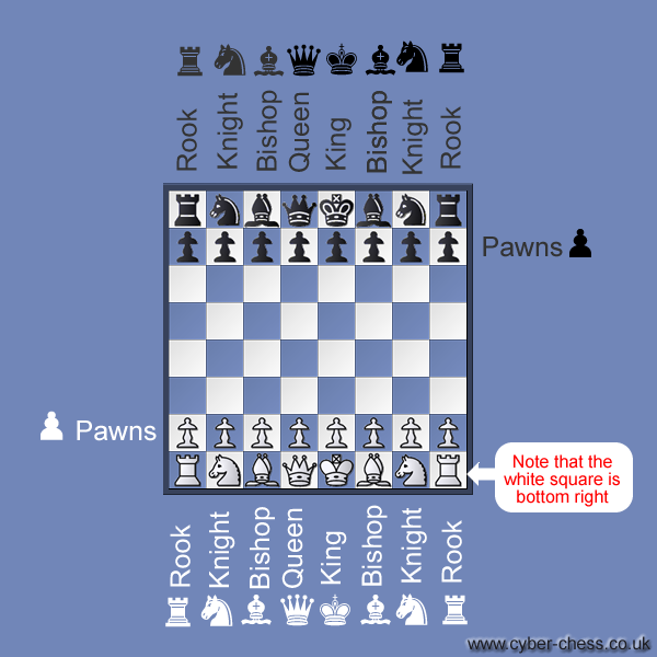 Cyber-chess Beginner's Level: a chess tutorial site designed for children  (and the young in mind) who want to learn how to play chess